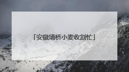 安徽埇桥小麦收割忙
