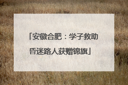 安徽合肥：学子救助昏迷路人获赠锦旗