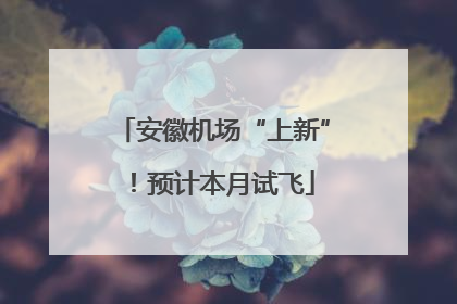 安徽机场“上新”！预计本月试飞
