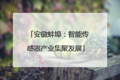 安徽蚌埠：智能传感器产业集聚发展