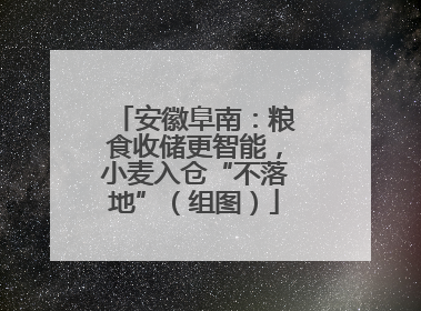 安徽阜南：粮食收储更智能，小麦入仓“不落地”（组图）