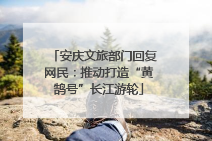 安庆文旅部门回复网民：推动打造“黄鹄号”长江游轮