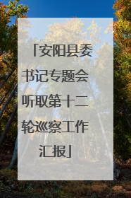 安阳县委书记专题会听取第十二轮巡察工作汇报