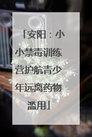 安阳：小小禁毒训练营护航青少年远离药物滥用