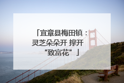 宜章县梅田镇：灵芝朵朵开 撑开“致富花”