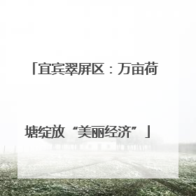 宜宾翠屏区：万亩荷塘绽放“美丽经济”