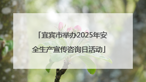 宜宾市举办2025年安全生产宣传咨询日活动