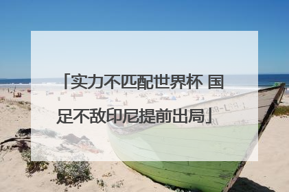 实力不匹配世界杯 国足不敌印尼提前出局