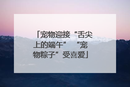 宠物迎接“舌尖上的端午” “宠物粽子”受喜爱