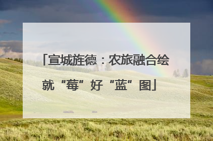 宣城旌德：农旅融合绘就“莓”好“蓝”图