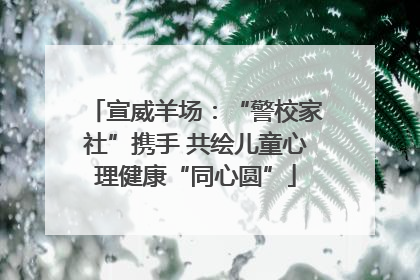 宣威羊场：“警校家社”携手 共绘儿童心理健康“同心圆”