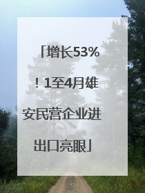 增长53%！1至4月雄安民营企业进出口亮眼