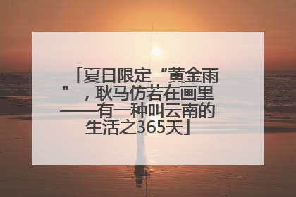 夏日限定“黄金雨”，耿马仿若在画里——有一种叫云南的生活之365天
