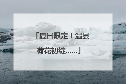 夏日限定！温县荷花初绽……