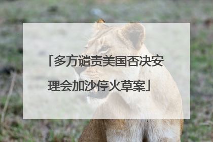 多方谴责美国否决安理会加沙停火草案