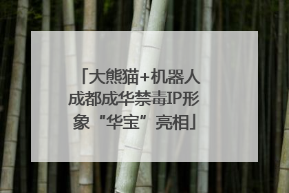 大熊猫+机器人 成都成华禁毒IP形象“华宝”亮相