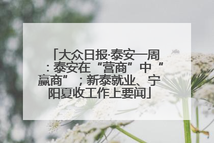 大众日报·泰安一周：泰安在“营商”中“赢商”；新泰就业、宁阳夏收工作上要闻