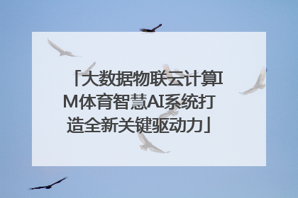 大数据物联云计算IM体育智慧AI系统打造全新关键驱动力