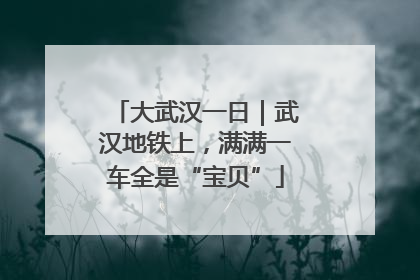 大武汉一日｜武汉地铁上，满满一车全是“宝贝”