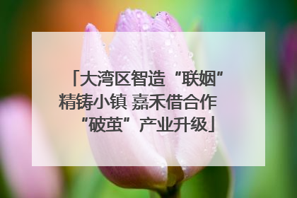 大湾区智造“联姻”精铸小镇 嘉禾借合作“破茧”产业升级