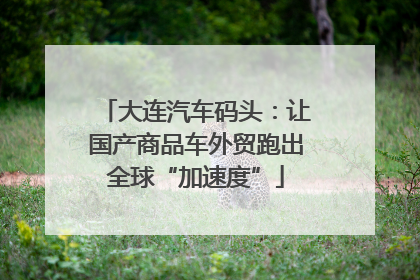 大连汽车码头：让国产商品车外贸跑出全球“加速度”
