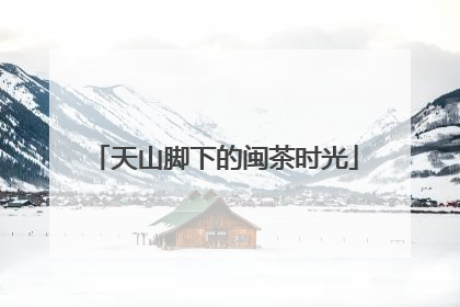 天山脚下的闽茶时光