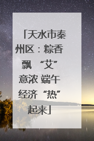天水市秦州区：粽香飘 “艾”意浓 端午经济“热”起来