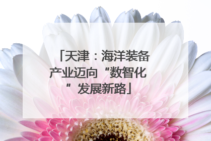 天津：海洋装备产业迈向“数智化”发展新路
