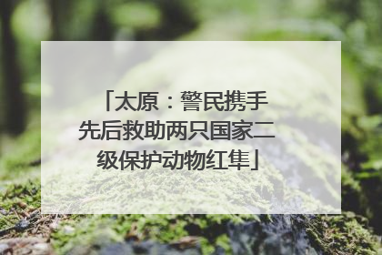 太原：警民携手 先后救助两只国家二级保护动物红隼