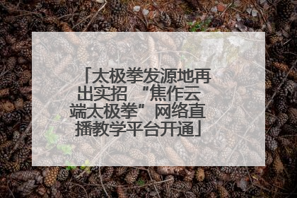 太极拳发源地再出实招 “焦作云端太极拳”网络直播教学平台开通