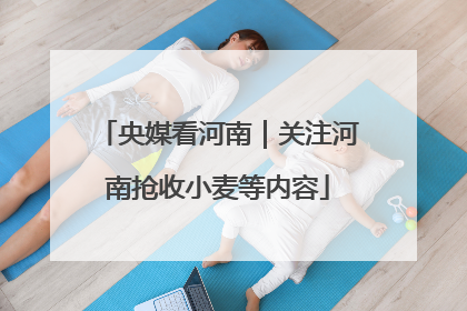 央媒看河南｜关注河南抢收小麦等内容