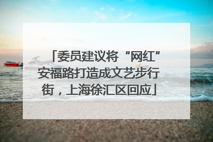 委员建议将“网红”安福路打造成文艺步行街，上海徐汇区回应