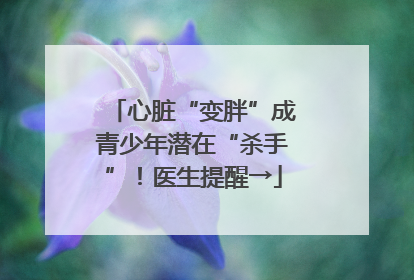 心脏“变胖”成青少年潜在“杀手”！医生提醒→