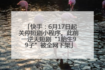 快手：6月17日起关停短剧小程序。此前一逆天短剧“1胎生99子”被全网下架