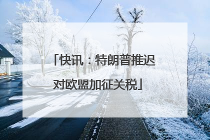 快讯：特朗普推迟对欧盟加征关税