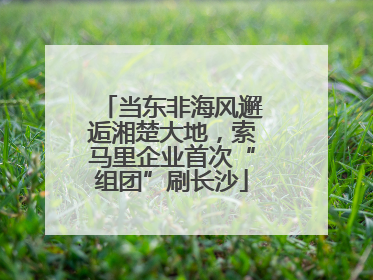 当东非海风邂逅湘楚大地，索马里企业首次“组团”刷长沙