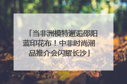 当非洲模特邂逅邵阳蓝印花布！中非时尚潮品推介会闪耀长沙