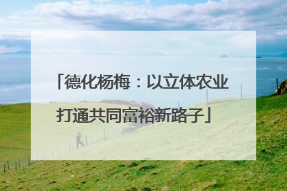 德化杨梅：以立体农业打通共同富裕新路子