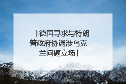 德国寻求与特朗普政府协调涉乌克兰问题立场