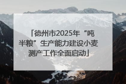德州市2025年“吨半粮”生产能力建设小麦测产工作全面启动