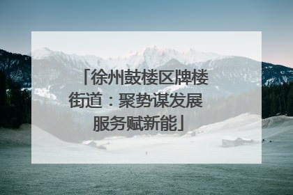 徐州鼓楼区牌楼街道：聚势谋发展 服务赋新能