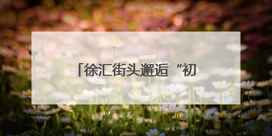 徐汇街头邂逅“初夏浪漫”！绣球花海成“全民打卡地”