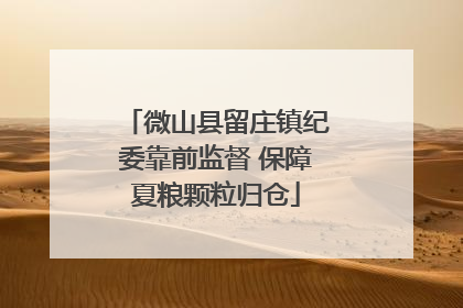 微山县留庄镇纪委靠前监督 保障夏粮颗粒归仓