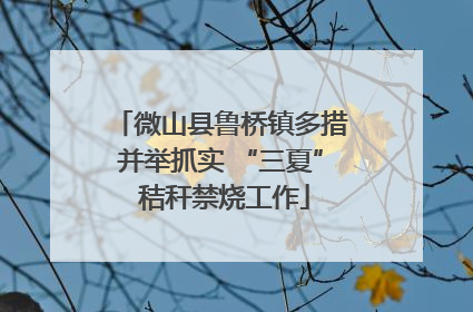 微山县鲁桥镇多措并举抓实 “三夏” 秸秆禁烧工作