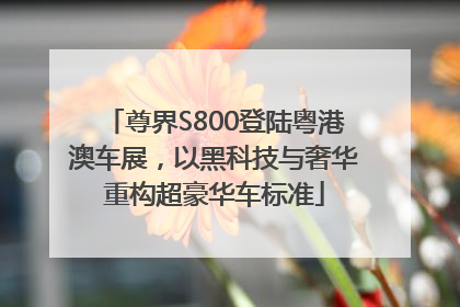 尊界S800登陆粤港澳车展，以黑科技与奢华重构超豪华车标准
