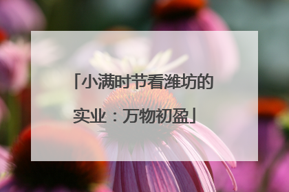 小满时节看潍坊的实业：万物初盈