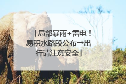 局部暴雨+雷电！易积水路段公布→出行请注意安全