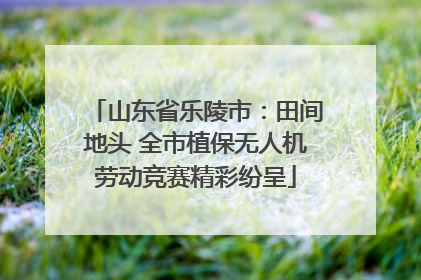 山东省乐陵市：田间地头 全市植保无人机劳动竞赛精彩纷呈