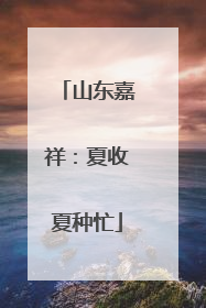 山东嘉祥：夏收夏种忙