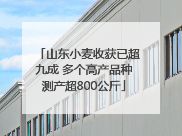 山东小麦收获已超九成 多个高产品种测产超800公斤